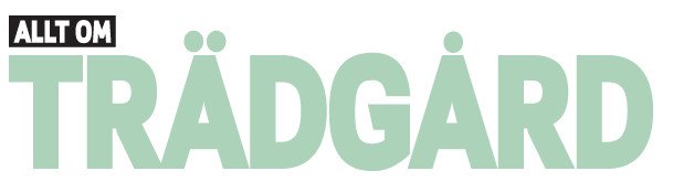 Allt om Trädgård