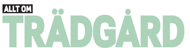Allt om Trädgård